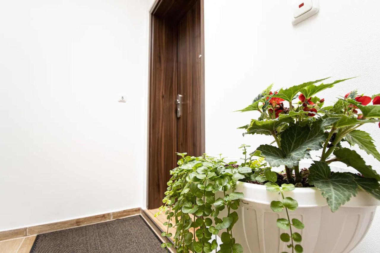 468 Plagwitz Apartment Kulturviertel Lipsia Esterno foto